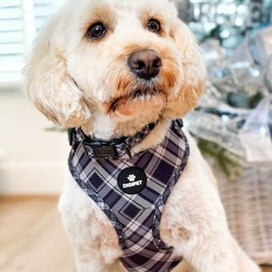 Hundehalsband und Leine Set - Schwarz und Weiß Karo Tartan