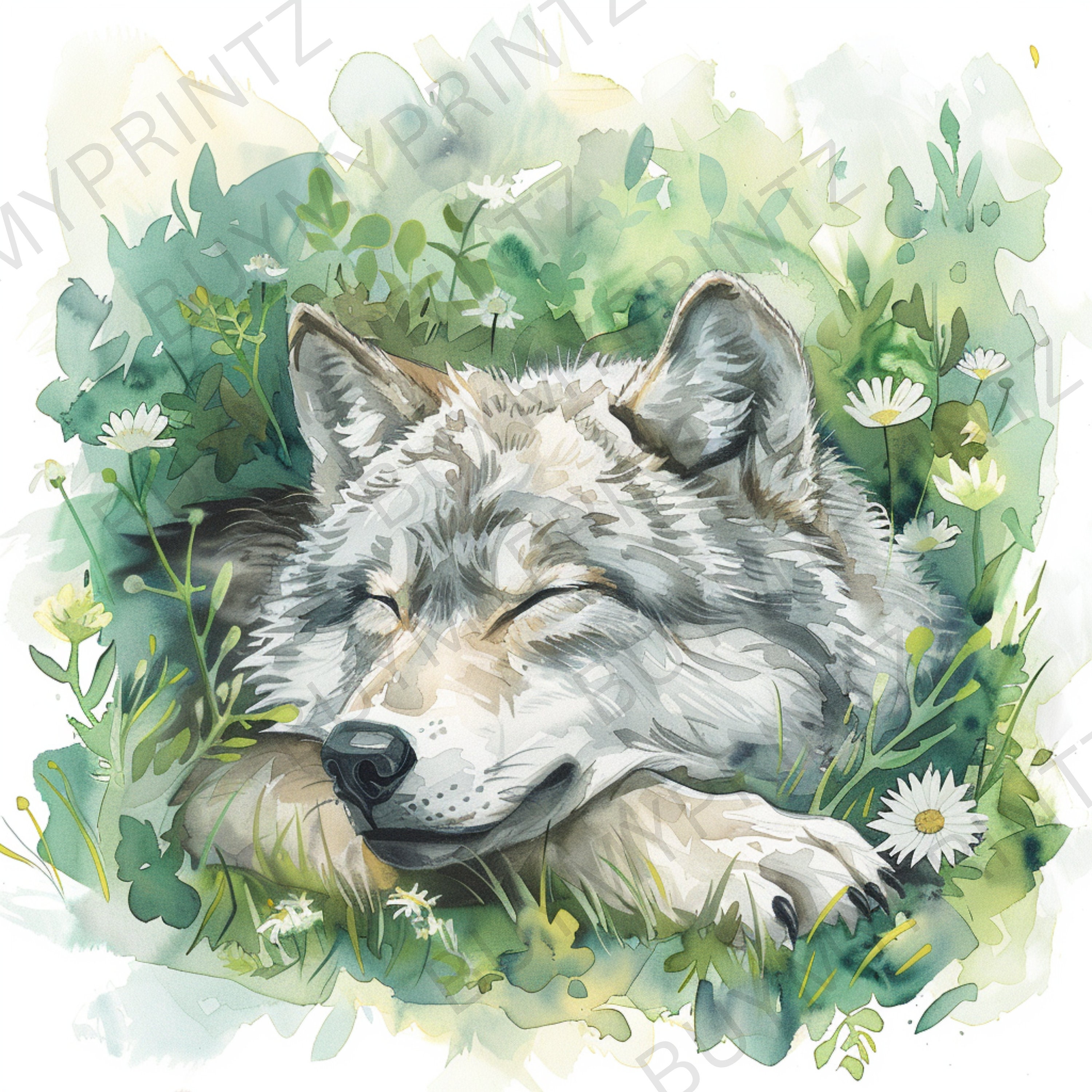 8 Wolf in Nature Clipart, Printable Watercolor High Quality Pngs ...