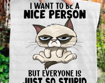Grumpy Cat TShirt– I Want to Be a Nice Person Tshirt, Everyone Is So Stupid Tee, Sarcastic Cat Shirt, Funny Cat Tshirt, Humor Graphic Tee