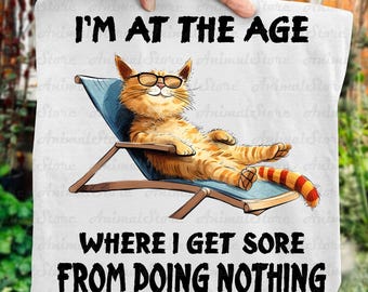 Funny Cat TShirt – I'm At The Age Where I Get Sore From Doing Nothing Tee, Lazy Cat Tshirt, Cat Lover Tshirt, Cute Cat Tshirt, chill cat tee