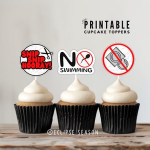 Toppers de pastel de vasectomía Paquete de cuidado de vasectomía IMPRIMIBLE, Regalo divertido de vasectomía para el esposo, Toppers de cupcakes de esperma retirados, Descarga digital
