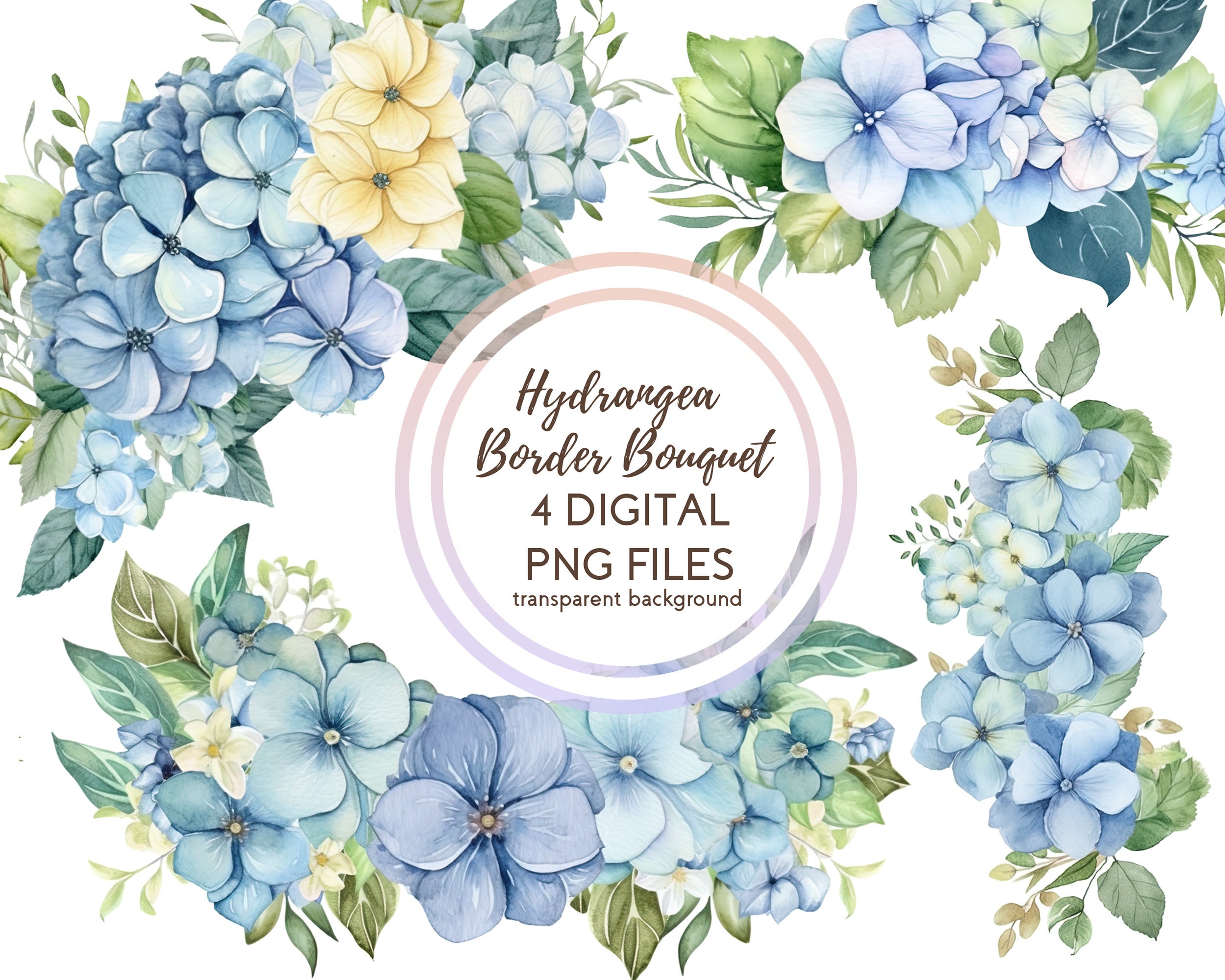 Image of Mini hydrangea border