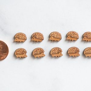 May include: Ten wooden brown hedgehog buttons, each about the size of a US penny.