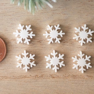 Pu&ograve; includere: Sei ornamenti bianchi a forma di fiocco di neve su una superficie di legno. Gli ornamenti sono circa delle dimensioni di una moneta da un centesimo di euro.