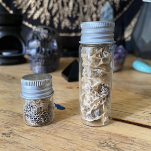 May include: Two glass jars with silver lids filled with dried snake skin. The jars are on a wooden surface.