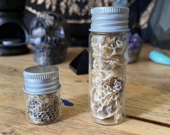 May include: Two glass jars with silver lids filled with dried snake skin. The jars are on a wooden surface.