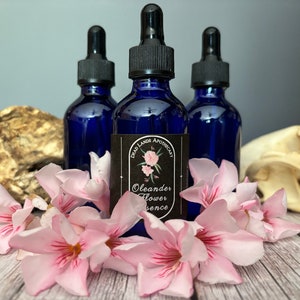 Oleander Flower Essence