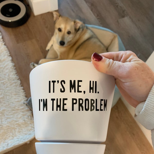 It's Me, Hi. I'm The Problem Planter - Cute gift, Funny plant pun, Planter w/ saucer (white), Succulent, Aloe, Cactus, Taylor Swift, Swiftie