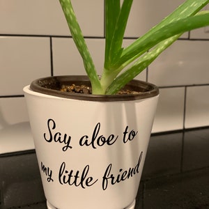 Puede incluir: Una maceta de cerámica blanca con el texto "Say aloe to my little friend" en escritura negra. La maceta contiene una planta de aloe vera con hojas verdes y moteadas. La maceta se encuentra sobre un platillo blanco.