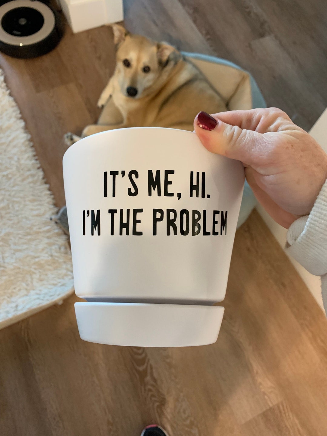 It's Me, Hi, I'm the Problem Plant Pun Planter With Saucer - Etsy