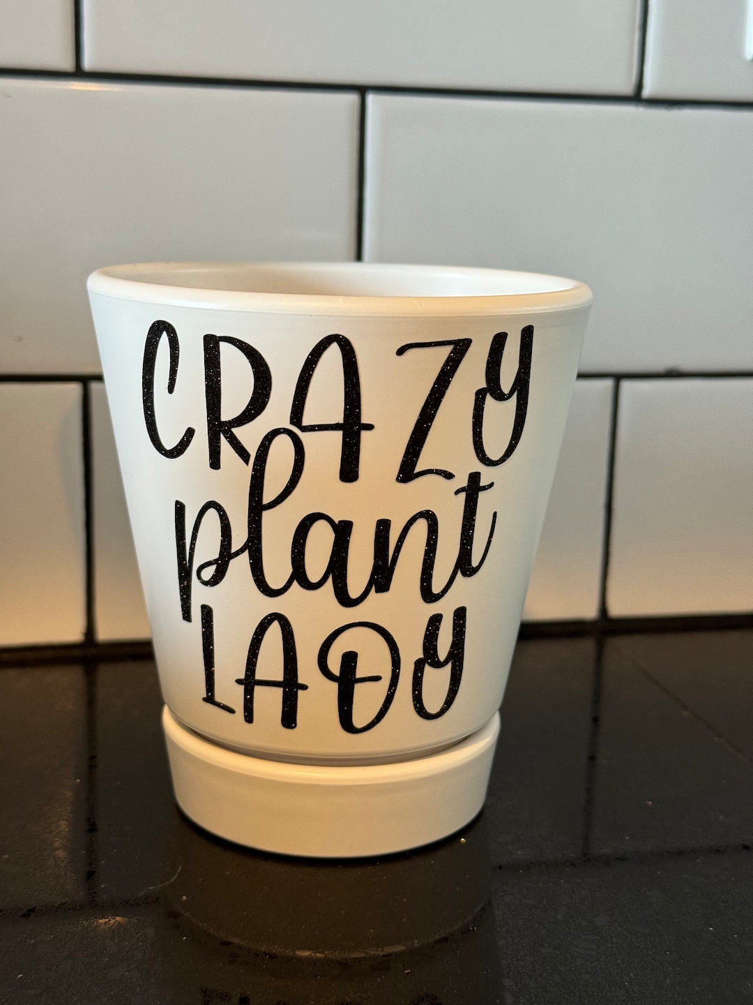 Crazy Plant Lady Planter – Funny Plant Pun Gift, Succulent & Cactus Pot ...