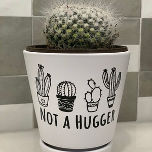 May include: White ceramic planter with a cactus plant inside. The planter has a black graphic of four cacti with the text "Not a hugger".