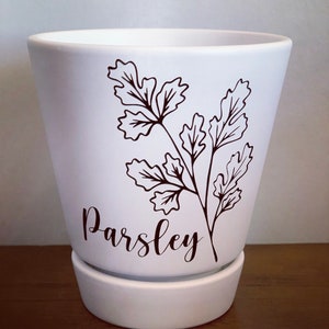 May include: White ceramic planter with a black silhouette of parsley leaves and the word "Parsley" written in cursive.