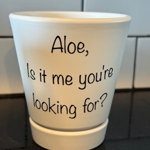 May include: White ceramic planter with the text "Aloe, Is it me you're looking for?" printed in black.