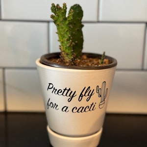 May include: White ceramic planter with a cactus plant and the text "Pretty fly for a cacti" in black lettering.