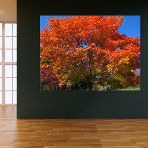 Tree Printable Wall Art - Etsy