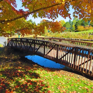 Bridge printable wall art