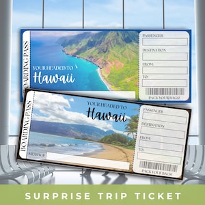 Hawaii Surprise Trip Ticket Printable, Editable Ticket Template, Boarding Pass, Surprise Plane Ticket, Surprise Vacation, Custom Ticket