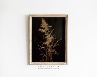Moody Floral Printable Art | Dark Botanical Print | Digital Download | Dark Academia Decor | Moody Wall Art | Vintage Digital Print | 217