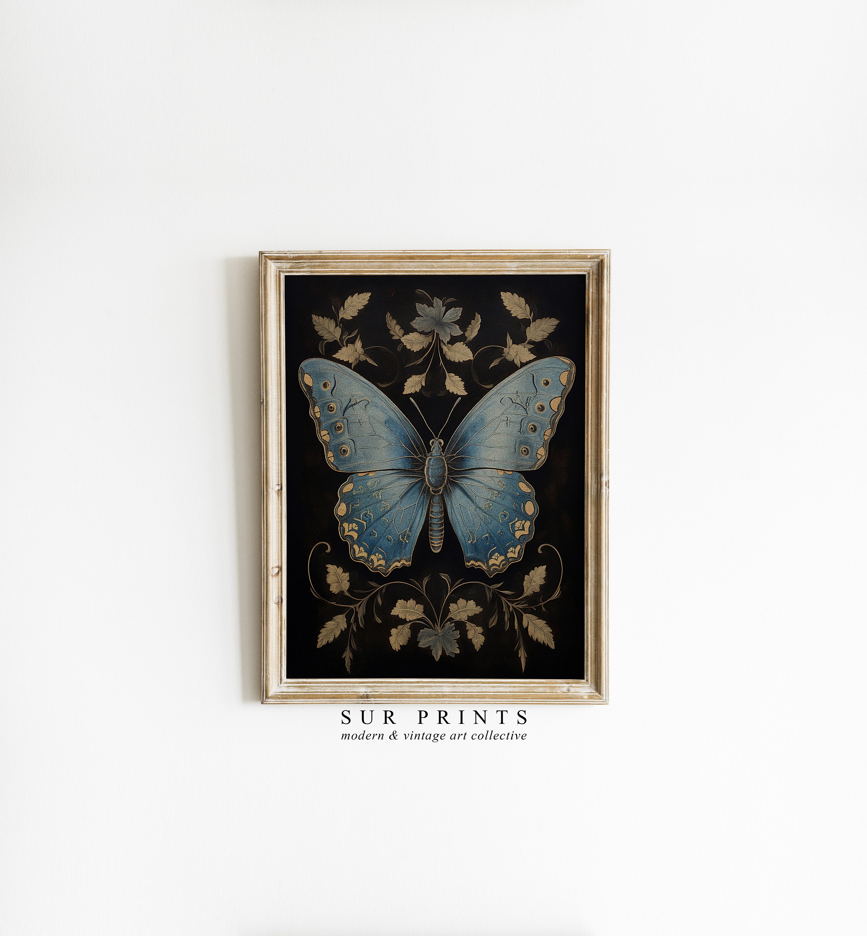 Vintage Butterfly Drawing, Butterfly Printable Wall Art, Farmhouse Wall Decor, Antique Insect Study Digital Download, Butterfly Wall Art 209