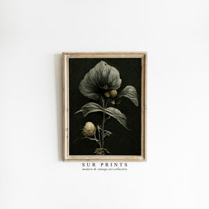 Dark Flower Painting Printable Art | Moody Floral Wall Art | Dark Academia Print, Vintage Moody Painting Victorian Art | Antique Print | 179