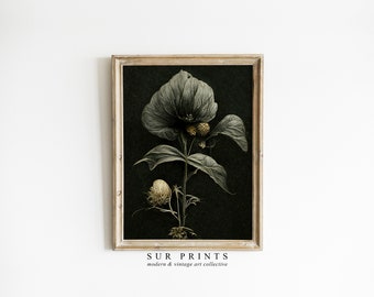Dark Flower Painting Printable Art | Moody Floral Wall Art | Dark Academia Print, Vintage Moody Painting Victorian Art | Antique Print | 179