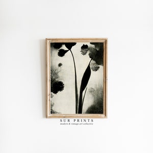 Black and White Vintage Botanical Print | Moody Botanical | Dark Academia | Moody Farmhouse Wall Decor | PRINTABLE Digital Art | 022