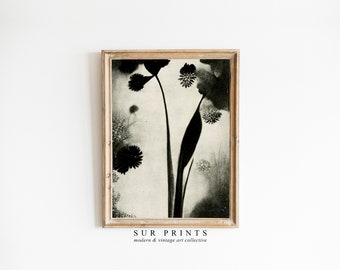 May include: Black and white botanical print of a flower with a long stem and multiple blooms. The print is framed in a light wood frame. The print is titled "SUR PRINTS modern & vintage art collective".