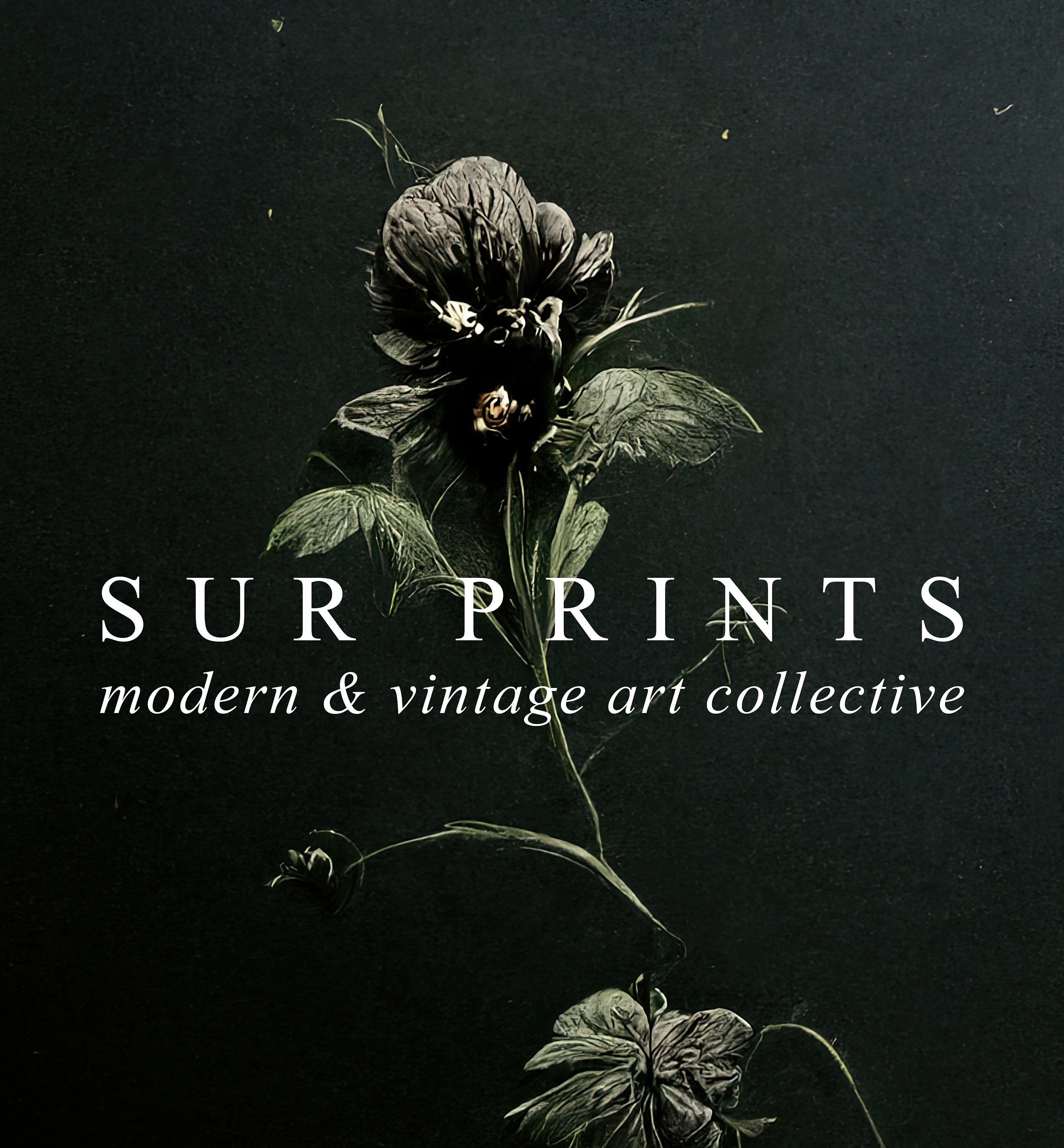Dark Botanical Gallery Wall Art | Moody Floral Print Set, 3 Piece Wall ...