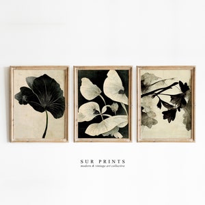 Neutral Botanical Gallery Wall Art, Moody Floral Print Set, 3 Piece Wall Art, Dark Academia Print, Digital Download, Printable Wall Art, 172