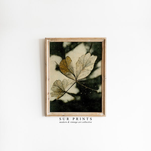 Antique Floral Painting | Dark Academia PRINTABLE Wall Art | Moody Rustic Botanical Print, Vintage Wall Art, Dark Art Digital Download | 174