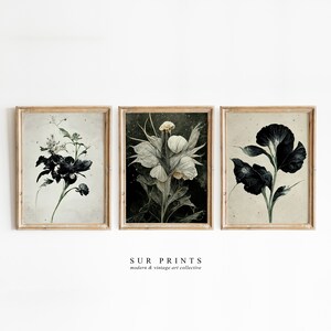 Moody Floral Gallery Wall Print Set of 6, Dark Academia Decor, Vintage ...