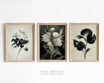 Dark Neutral Botanical Gallery Wall Art | Moody Floral Print Set, 12 ...