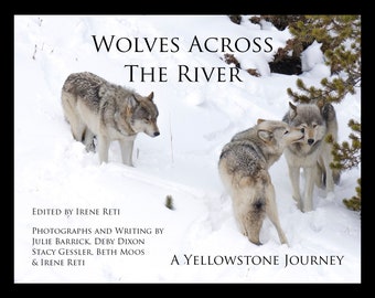Wolves Across the River: A Yellowstone Journey