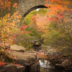 Acadia National Park Fall Foliage: Duck Bridge Photo