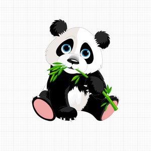 Panda - PNG Téléchargement instantané