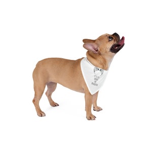 SJM- Wingspan Pet Bandana