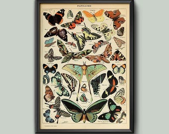 Poster Butterfly Encyclopedia Print - Vintage Adolphe Millot Wall Art, Framed or Unframed, High Quality Home Decor