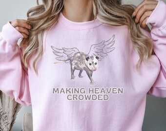 Opossum Shirt Live Fast Eat Trash Opossum Possum T Shirt Opossum Possum Shirt Possum Gift Possum Possums Sweatshirt Hoodie Possum Sw