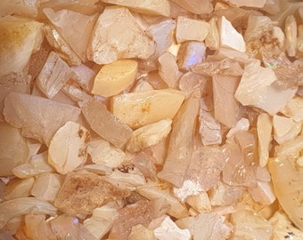 Australian Natural Opal Rough: 125 ct Gemstone Lot