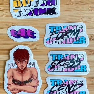 Trans and nonbinary pride stickers