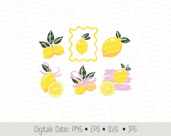 Citroner Sommarfrukter - Cricut Silhouette Plotter Digital Fil EPS SVG PNG Vektorillustration