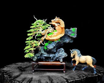 QuanBonsaiArt - Etsy