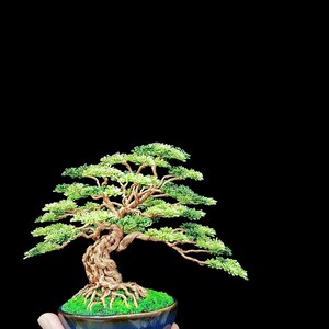 Copper wire bonsai tree, wire tree sculpture, tree of life, desk decor, bonsai tree, bookcase decor, father&#39;s day gift, gift for him