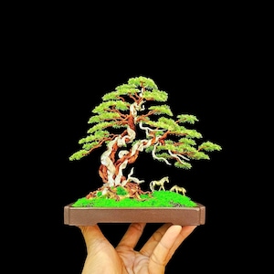 Copper wire bonsai tree, wire tree sculpture, Home deco, Anniversary gift, TV shelf decor, desk decor, bookcase decor