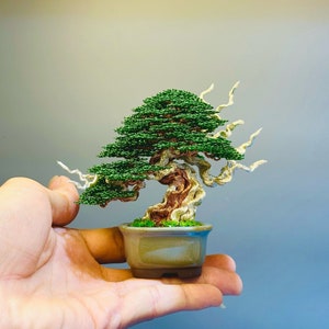 Wire bonsai tree, bonsai tree art, tree of life, wire tree sculpture, desk decor, bonsai tree, bookcase decor, father&#39;s day gift, wire art