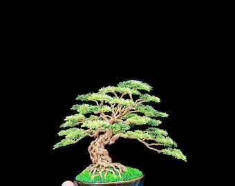 Copper wire bonsai tree, wire tree sculpture, tree of life, desk decor, bonsai tree, bookcase decor, father's day gift, gift for him