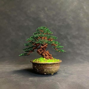 Puede incluir: Un árbol bonsái en miniatura en una maceta de cerámica marrón. El árbol tiene follaje verde y un tronco retorcido de color marrón. La maceta está llena de musgo verde. El fondo es gris oscuro.