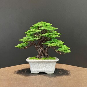 May include: A detailed bonsai tree featuring bright green leaves and a twisted, brown trunk. It's planted in a white, crackle-glazed ceramic pot. The tree's branches spread out, forming a miniature landscape. The background is dark. The pot is filled with green moss.
