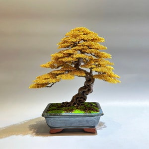 Op de afbeelding: Een gouden draadbonsai in een donkergrijze keramische pot met groen mos. De boom heeft een dikke stam en takken die gedraaid en knobbelig zijn.